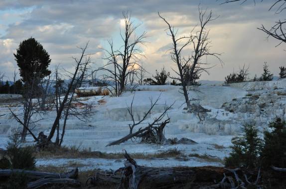 Novas fontes termais matam árvores em Mammouth Springs, no Yellowstone National Park, no Wyoming, nos Estados Unidos